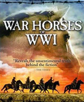Смотреть Онлайн Боевой конь: Реальная история / War Horse. The Real Story [2012]